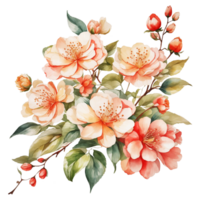 vattenfärg japonica blomma , blomma ClipArt , bröllop blomma ClipArt , ai genererad png