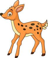 Cute deer cartoon on white background vector