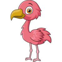 Cute little flamingo cartoon on white background vector