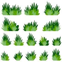 Set Bushes of green grass, Lush bunches of green garden plants. Vector flat cartoon illustration isolated on white