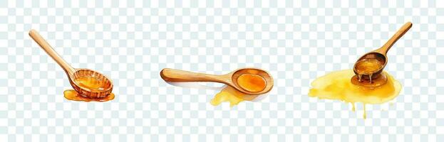 Set spoons with honey, watercolor clipart vector