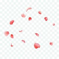 2 Vector falling rose petals background vector design 3d illustration