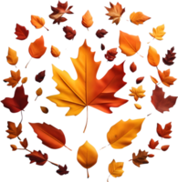 Maple leaves, autumn foliage ai generative png