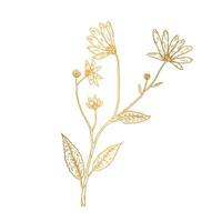 Vector hand drawn golden leaves illustration