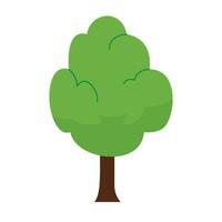 Vector tree flat element on white background