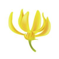 Vector ylang ylang flower. realistic elements for labels of cosmetic skin care product