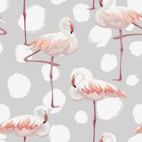 Pink flamingo seamless pattern vector