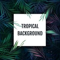 Summer tropical hawaiian background with palm tree leaves and exotic plants vector