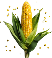 maïs oogst, maïs landbouw, maïs planten, ai generatief png