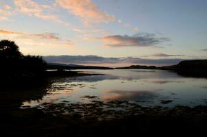 Silhouetted trees on the edge of Loch Dunvegan photo