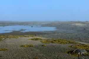 Sand Bar at Low Tide in the Early Morning Hours photo