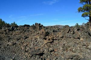 Dark Lava Rock in a Pile Edged with Trees photo