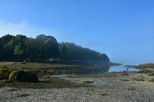 Low Tide on a Coastal Island in Maine photo