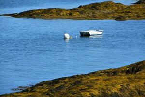 Moored Dinghy in the Ocean with Lots of Seaweed photo