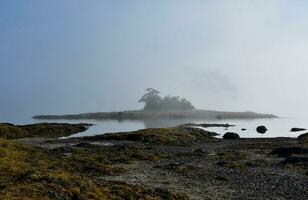 Little French Island In the Fog in the Summer photo