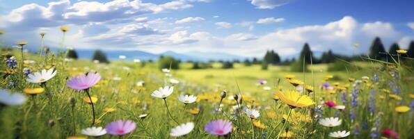 Idyllic Meadow on summer. AI Generated photo