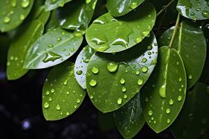 Green leaves with water droplets on them. AI Generated photo