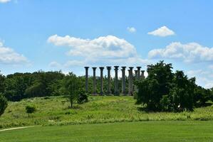 Old Capitol Pillars in DC Botanical Garden photo