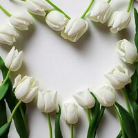 AI Generated The frame is a Love shape of red and white tulips on a white background with a place for text photo