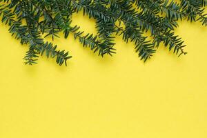 Green spruce branch on yellow background with copy space. Christmas tree decoration. New year, winter holiday card. Fir, pine twig. Promotion of the poster sale or percent discount in the store photo