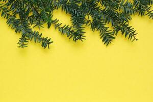 Green spruce branch on yellow background with copy space. Christmas tree decoration. New year, winter holiday card. Fir, pine twig. Promotion of the poster sale or percent discount in the store photo