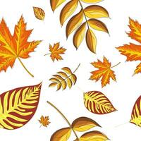 Autumn seamless pattern with leaves vector