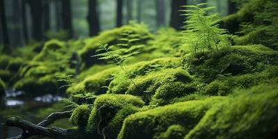Green moss closeup, with a backdrop of woodland.  Forest in the national park. AI Generated photo