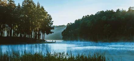 A beautiful landscape with fog floating on the lake surface in the sunrise at Pang-ung. photo