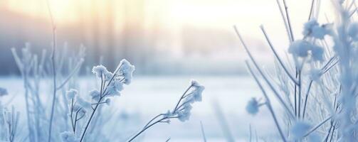 Frozen snowy grass, winter natural abstract background. beautiful winter landscape. AI Generated photo