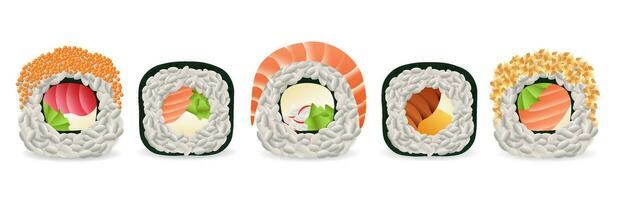 realista Sushi colocar. vistoso Mariscos y arroz rollos con tradicional receta y delicioso natural vector ingredientes