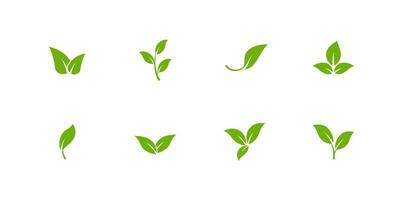 Green leaves icons set. Eco symbol of natural foliage for environment logo and food quality sign without chemical and hazardous vector additives