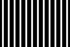 Seamless pattern with vertical stripes. Black and white background. vector