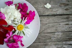 On a white plate beautiful multi-colored flowers on a wooden background photo