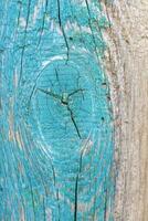 Texture of an old board with cracks in a turquoise color. photo