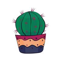 Cactus vector isolated on white background - Green Cactus