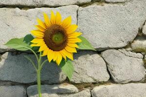 girasol. antecedentes. ai generativo Pro foto