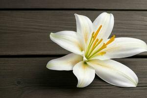 lily flower. background. AI Generative Pro Photo