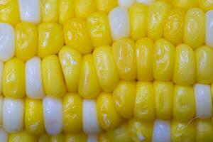 Texture of yellow boiled corn close up. photo
