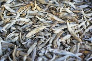 Small dried fish. Taranka photo