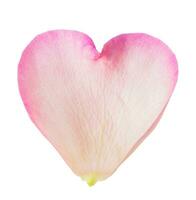 Heart shape pink flower petal isolated on transparent white background photo