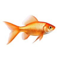 pesce rosso carpa pesce ai generativo png