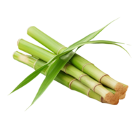 Sugar cane and leaf Ai Generative png
