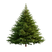 Pine Fir General Sherman Tree Ai Generative png