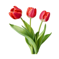 bouquet de rouge tulipes avec vert feuilles ai génératif png