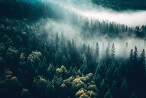 Foggy forest aerial view.. Generative AI photo