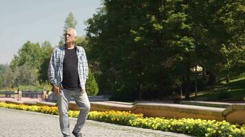 Man in good mood walking in the park. Cheerful man. video