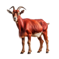 portrait Toggenburg goat Ai Generative png