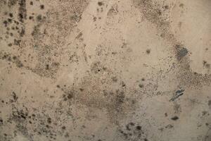 resistido oxidado arena pared fondo, sucio pared superficie, Envejecido arena pared textura foto