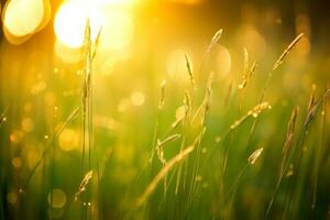 Close up spring grass field with sunlight bokeh background, Generative AI illustration photo