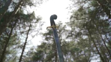 medieval guerra herramienta, espada. video